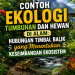 Contoh Ekologi Tumbuhan