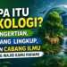 Ekologi