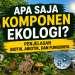 Komponen Ekologi