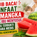 Manfaat Semangka untuk Ibu Menyusui