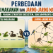 Perbedaan Rantai Makanan dan Jaring-Jaring Makanan