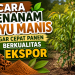 Cara Menanam Kayu Manis